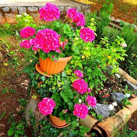 Apartman Zgora Mora-above The Sea-peacefull,family Frendly