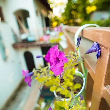 Zgora Mora-above The Sea-peacefull,family Frendly Apartment Lovran